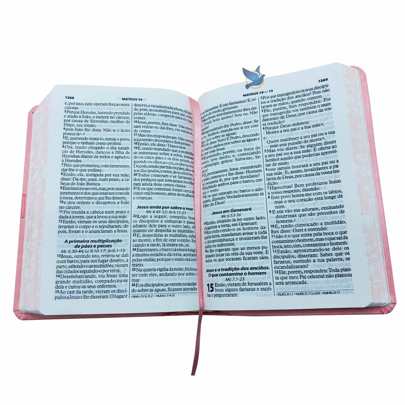 Holy Bible Lt Grande Almeida Updated ARA | Light Rose